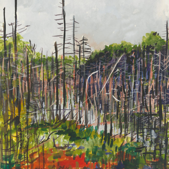 Mia Scheffey - Study #5